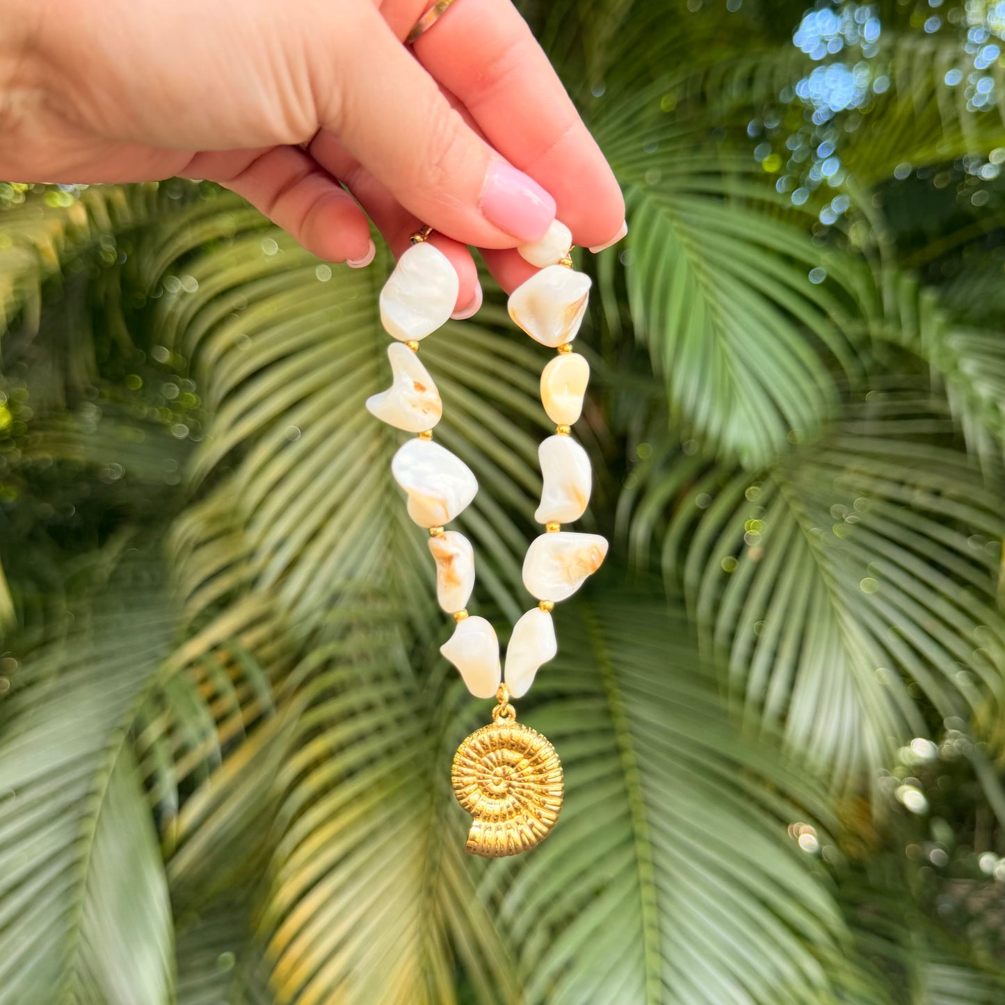 Shell Bracelet