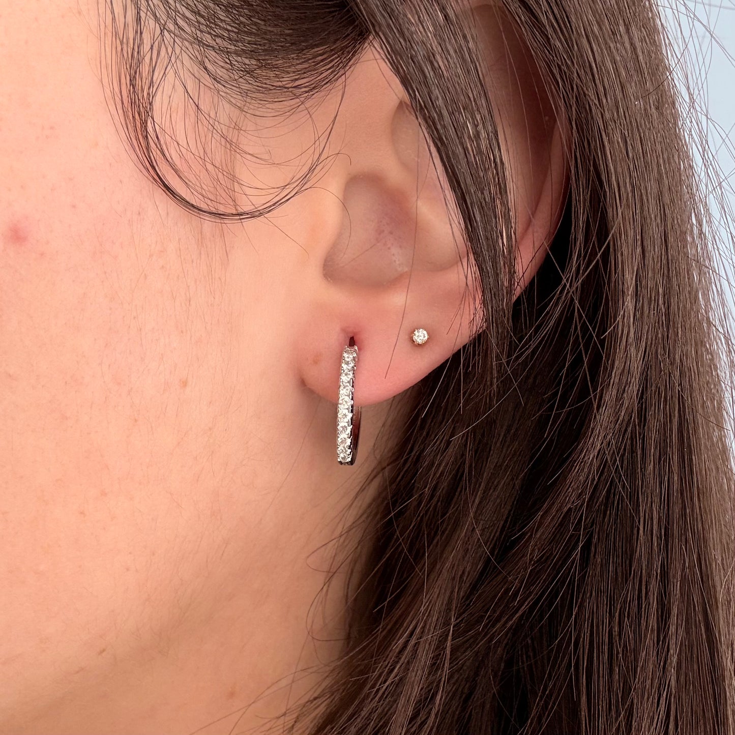 Double Hearts Earrings