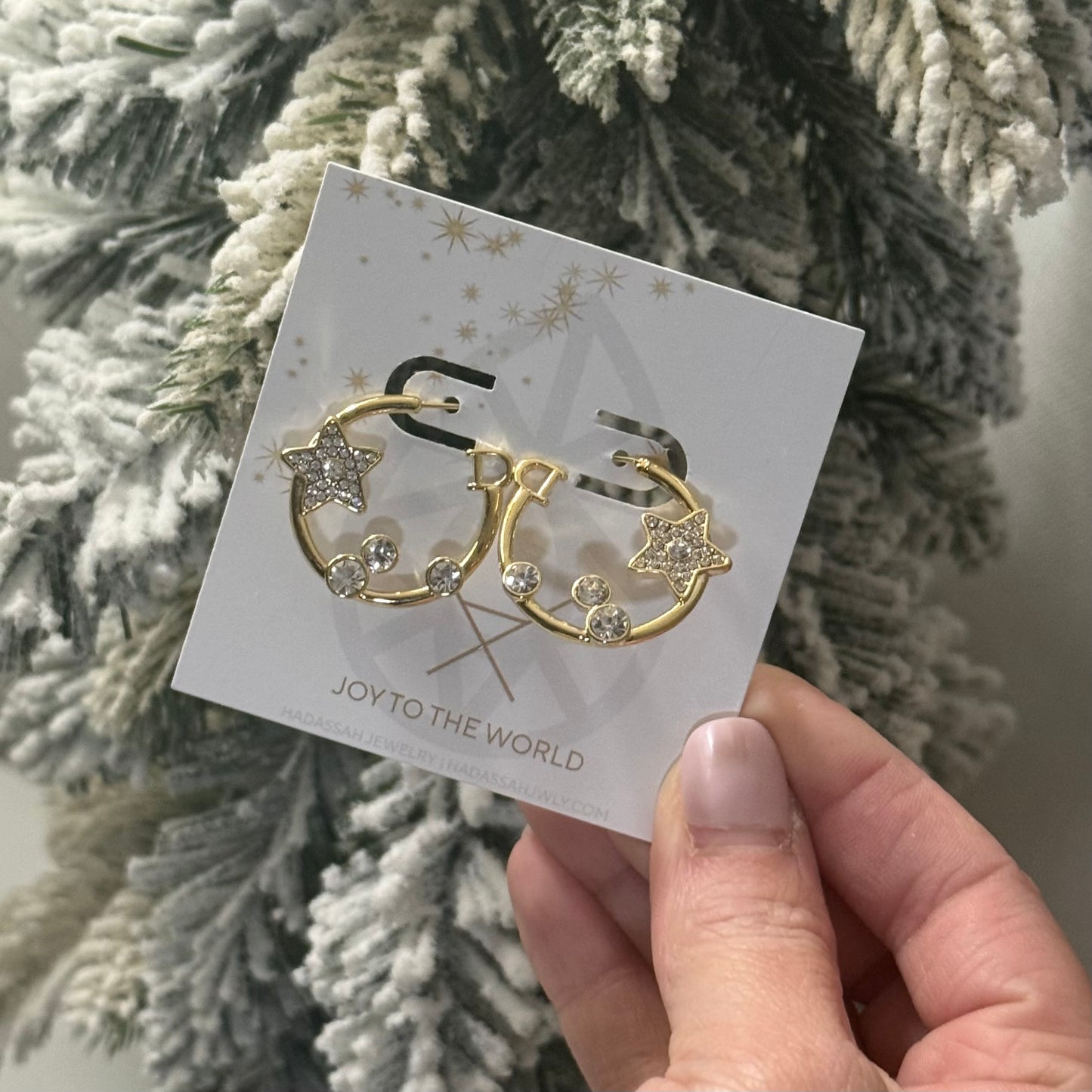 D Star Earrings